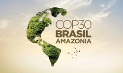 COP30’da Tarihi Adım: İklim Dezenformasyonuna Karşı Küresel Birlik