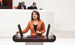 Gülcan Kış, Bu ülke artık TÜİK verileriyle değil, mutfaktaki yangınla ölçülüyor