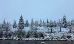 Adana’nın yüksek kesimlerinde kar yağışı etkili oldu