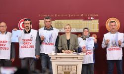 Perihan Koca, Tapeten Mensucat işçileri 69 gündür haklarını arıyor