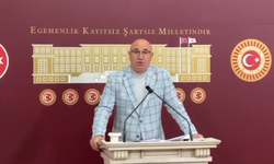 CHP’li Tanal’dan Karadağ’daki Irkçı Saldırılara Sert Tepki: “Vatandaş Sokakta Darp Edilirken Elçilikte Müzik Çalıyordu”