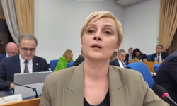 Perihan Koca: Dilovası Katliamı, Sermaye Yanlısı Bakanlığın Eseri