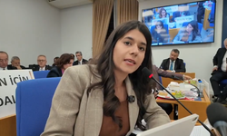 Beritan Güneş: “Kadınları ve Çocukları Aileyle Sınırlı Gören Anlayış Terk Edilmeli”