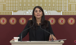 DEM Partili Nevroz Uysal Aslan: “Şırnak’ta Yol Yapımı Siyasi Tercihlere Göre Belirleniyor”