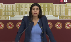 DEM Partili Beritan Güneş: Tütün işçisi kadınlar ağır sömürü, mobbing ve cinsiyetçi baskılar altında çalışıyor