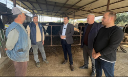 CHP’li Başevirgen, Manisa’da besicilerin sorunlarını dinledi