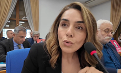 DEM Parti Milletvekili Adalet Kaya’dan İçişleri Bakanı Yerlikaya’ya 6284 Sorusu