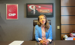 Gamze Akkuş İlgezdi: “2024, kadına yönelik şiddetin en kara yılı; iktidar kadına günde sadece 51 kuruş ayırıyor”