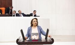 Dr. Müzeyyen Şevkin: “Pozantı Halkının Sesine Kulak Verin!”