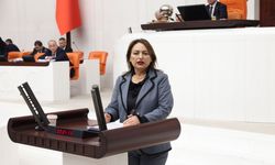 CHP'li Şevkin, Bir tarafta mutlu azınlık, bir tarafta borçlu, icralık milyonlarca insan var!