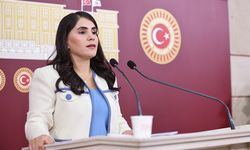 DEM Partili Nevroz Uysal Aslan: “Kadına yönelik şiddet artık yapısal bir devlet politikası sonucudur”