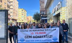675 sayılı KHK’nin yayımlanmasının 10. yılında Amed’de basın açıklaması: “KHK’ler Gidecek, Biz Kalacağız”