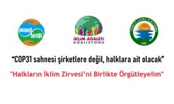 “COP31’in Türkiye’de yapılması ekolojik suçların üstünü örtme girişimidir”