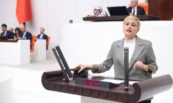 DEM Partili Perihan Koca’dan MEB’e Soru Önergesi: “Yerli Malı Haftası’nda SİHA propagandasıyla amaçlanan nedir?”