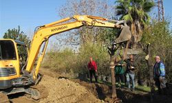 Adana Büyükşehir: Kavşak Çalışmalarında Ağaç Kesimi Yok, Ağaçlar Fidanlıklara Taşınıyor