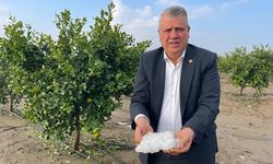 Ayhan Barut’tan Dolu Felaketi İçin Acil Destek Çağrısı