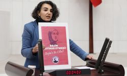 DEM Partili Çiçek Otlu, 30 Ocak 2026’da Ankara'da buluşmaya "Rojin için adalet." demeye çağırıyoruz.