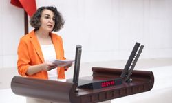 DEM Partili Çiçek Otlu: “Toplumsal çürüme sınıfsaldır, kapitalizm ve siyasal iktidardan ayrı ele alınamaz”