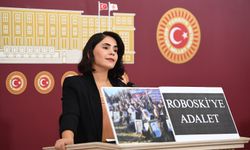 DEM Partili Nevroz Aslan: Adaletin En Ağır Suskunluğunun Üzerinden 14 Yıl Geçti