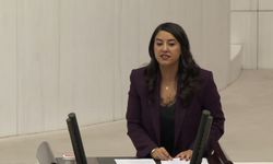 DEM Partili Dilan Kunt Ayan’dan Sert Bütçe Konuşması: “Türkiye’de Adalet Arayan Strazburg’a Gidiyor”