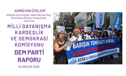 DEM Parti Raporu'ndan Çarpıcı Çağrı: KHK Mağduriyetleri ve Kayyım Rejimi Kaldırılmadan Kalıcı Barış İnşa Edilemez
