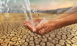 “Yeterince Şey Yapmıyoruz”: İklim Krizi Artık Bir İnsan Hakları İhlali