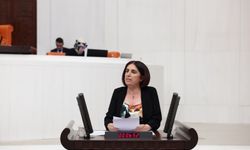 Sevilay Çelenk: İstismar İddiaları Aydınlatılsın