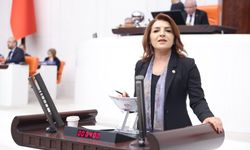 Gülcan Kış, AKP iktidarının 2025 harcama karnesi ortada: Para var, adalet yok