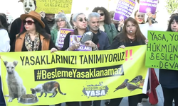 İstanbul Valiliği'nin sahipsiz köpeklerin beslenmesine kısıtlama getiren genelgesine 150 avukattan suç duyurusu