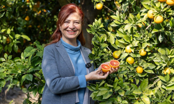 MERSİN KAN PORTAKALI COĞRAFİ İŞARET TESCİLİNİ ALDI