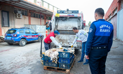Seyhan Belediyesi Zabıtası, İnsan Sağlığına Yönelik Tehditlere Göz Yummuyor