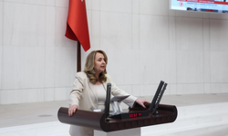 CHP’li Semra Dinçer: “Meclis’in itibarı örtbasla değil, yüzleşmeyle korunur”