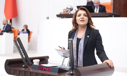 CHP'li Gülcan KIŞ, Bu bütçe enerji yatırımı değil, egemenlik devridir