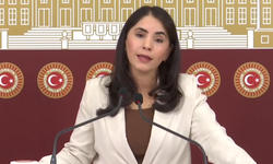 DEM Parti Şırnak Milletvekili Nevroz Uysal Aslan: Ölüm Yolu İçin Bütçe Var, Proje Hazır: Peki Neden Başlanmıyor?