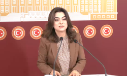 DEM Parti Grup Başkanvekili Gülistan Kılıç Koçyiğit’ten “Barış Yasası” Çağrısı