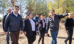 Seyhan Belediyesinden Can Dostlara 23 Dönümlük Özgürlük Alanı