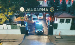 6 İlde Dolandırıcılık ve Tefecilik Operasyonu: 61 Gözaltı, 46 Tutuklama