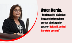 Dersim Milletvekili Ayten Kordu: Şap Salgını Üreticiyi Vurdu, Hayvancılık Bazı Bölgelerde Durma Noktasında