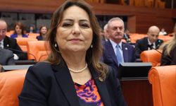 CHP’li Şevkin’den Yüreğir için Meclis’te çağrı: Yüreğir’in çığlığını duyun!