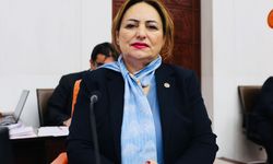 CHP’li Müzeyyen Şevkin’den Asgari Ücret Tepkisi: “Toplumun Yüzde 60’ı Açlık Sınırı Altında Yaşıyor”