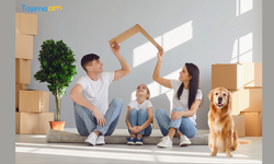 Taşımacım Pet Taksi ve Modern Nakliye Hizmetleri