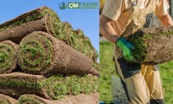 Hazır Rulo Çim Nedir? Nerelerde Kullanılır? Fiyatı Ne Kadar?