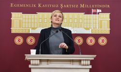 Mersin Milletvekili Perihan Koca: Katliama Karşı Ses Yükseltiyoruz