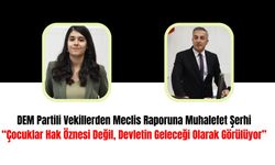 DEM Partili Vekillerden Meclis Raporuna Muhalefet Şerhi: “Çocuklar Hak Öznesi Değil, Devletin Geleceği Olarak Görülüyor”