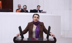 DEM Partili Çiçek Otlu: Saç Örgüleri Direnişin Türküsüdür, Kadın Devrimini Savunacağız