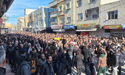 54 Kurumdan Rojava İçin Ortak Çağrı: Ekolojik Yaşam, Kadın Özgürlüğü ve Demokratik Toplum Hedefte