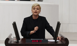 Perihan Koca: HTŞ çeteleri, IŞİD’in Şengal’de Ezidi kadınlara yaptığını bugün Alevi, Kürt ve Dürzi kadınlara yapıyor