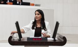 DEM Partili Nevroz Uysal Aslan: Cezaevleri Hukukun Askıya Alındığı Kapalı Rejim Alanlarına Dönüştü