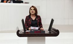 CHP Mersin Milletvekili Gülcan Kış, TRAFİK CEZALARI GÜVENLİK İÇİN DEĞİL, TAHSİLAT İÇİN ARTIRILIYOR