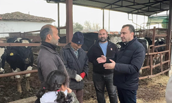 Başevirgen’in Dinlediği Besiciler Süt Fiyatlarına İsyan Etti: “Eskiden 4 İnek Bir Evi Geçindirirdi, Şimdi 10’u Yetmiyor”